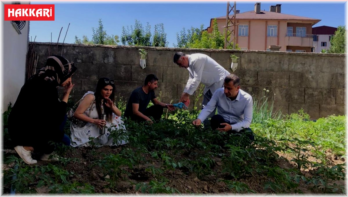 Müdür Yiğit ilçedeki sebze alanlarını inceledi