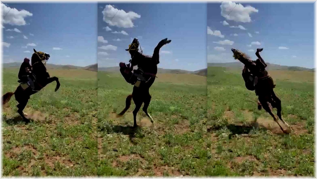 Muhtarın attan düşme anı