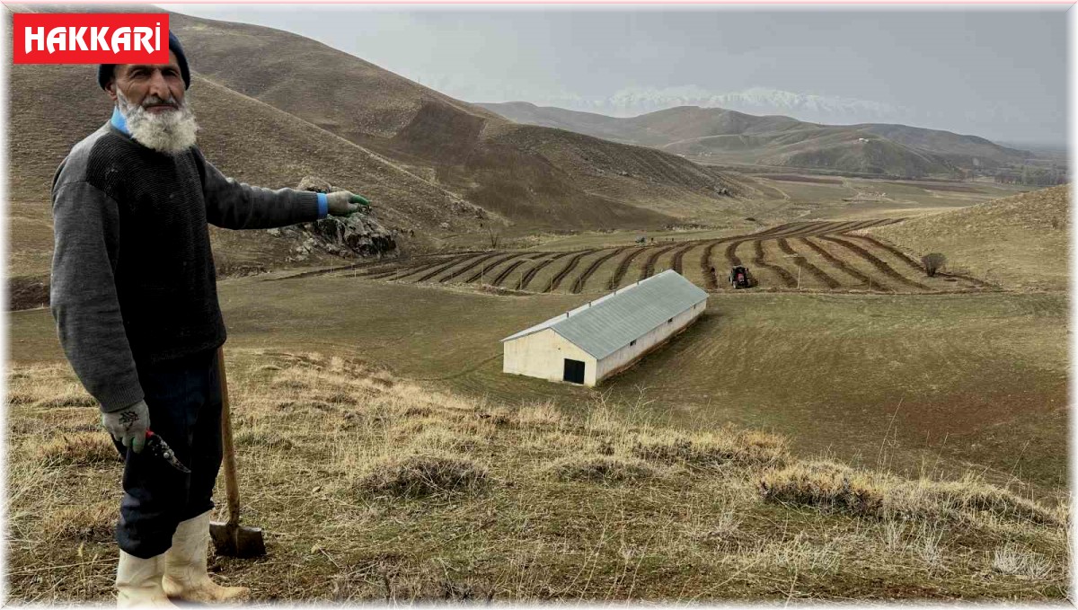 Muhyettin amca 40 yıllık hayalini gerçekleştirdi: 15 dönümlük arazisine 500 meyve fidanı dikti