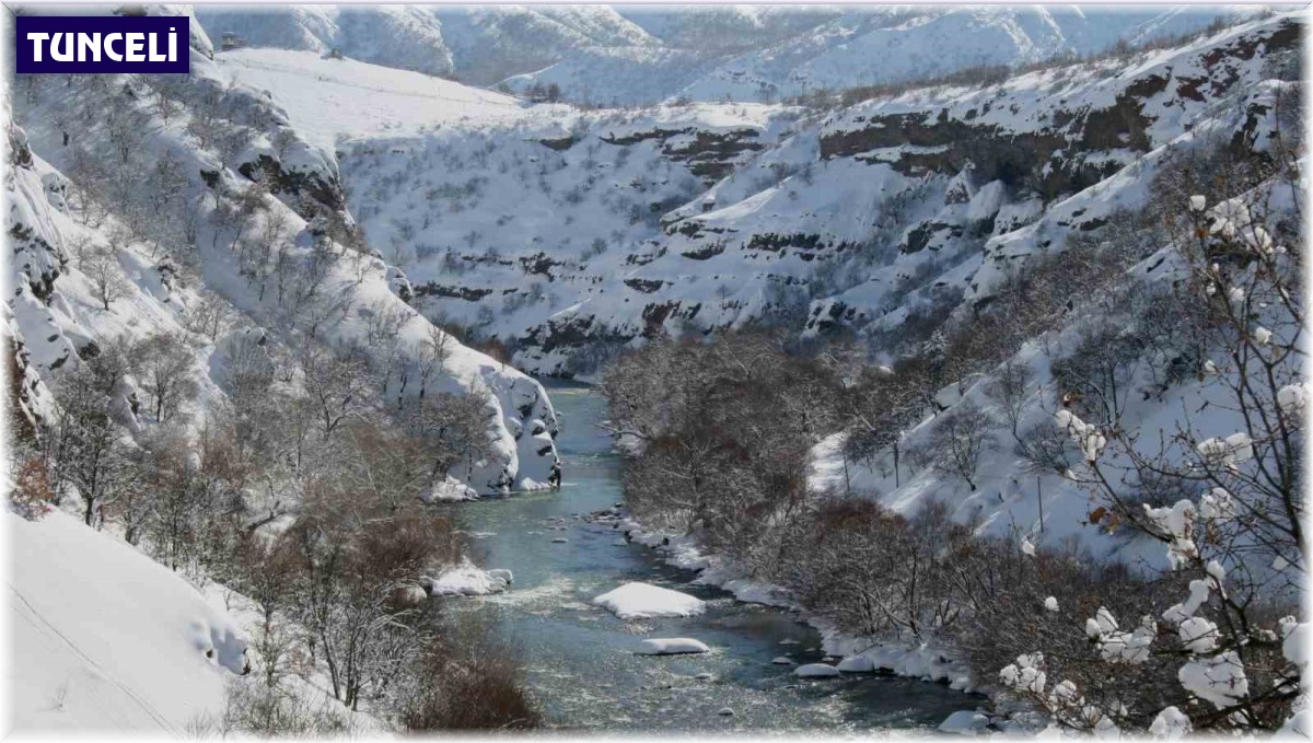 Munzur ve Pülümür vadileri 'Kesin korunacak hassas alan' ilan edildi