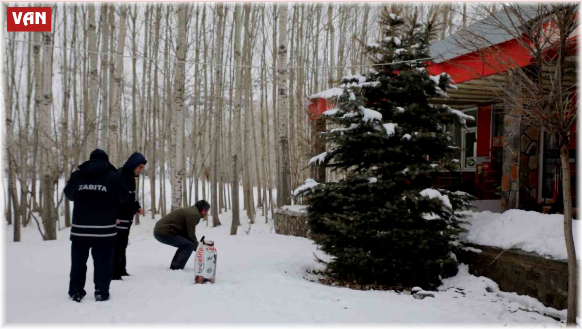 Muradiye Belediyesi sokak hayvanları için mama bıraktı