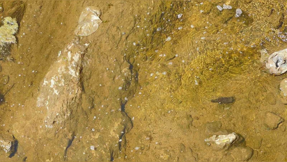 Muradiye Bendimahi Çayı'nda su seviyesi düştü: Siraz balığı yavruları tehlikede