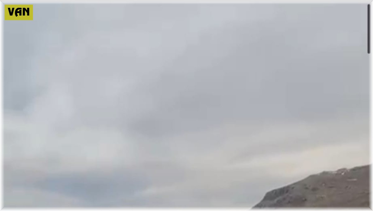 Muradiye'de 10 düzensiz göçmen yakalandı