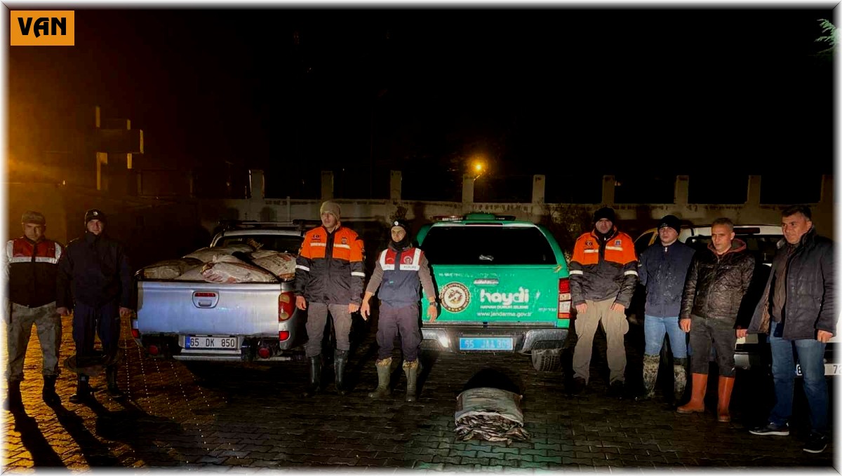 Muradiye'de 3 ton kaçak avlanmış balık ele geçirildi