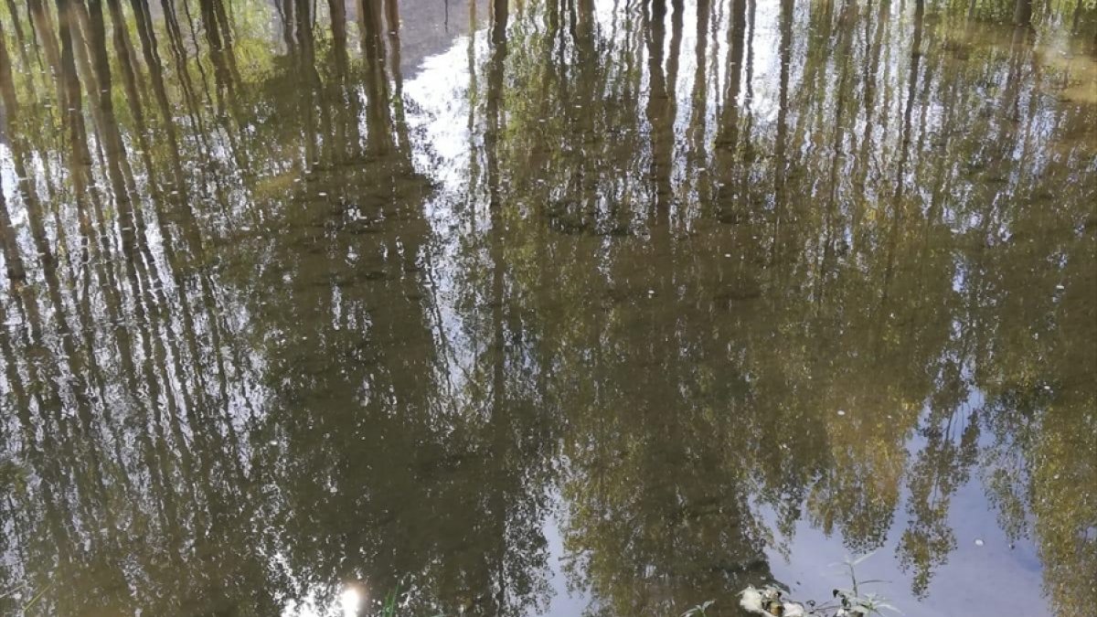 Muradiye'de dereye düşen 3 yaşındaki çocuk öldü