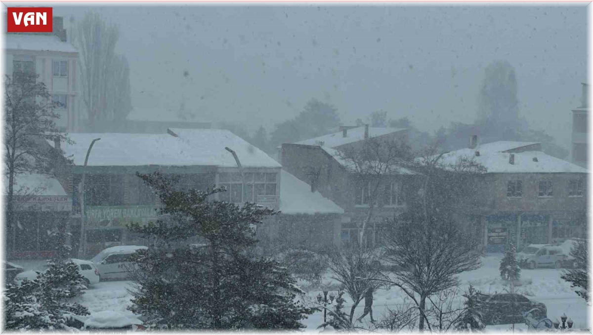 Muradiye'de kar yağışı
