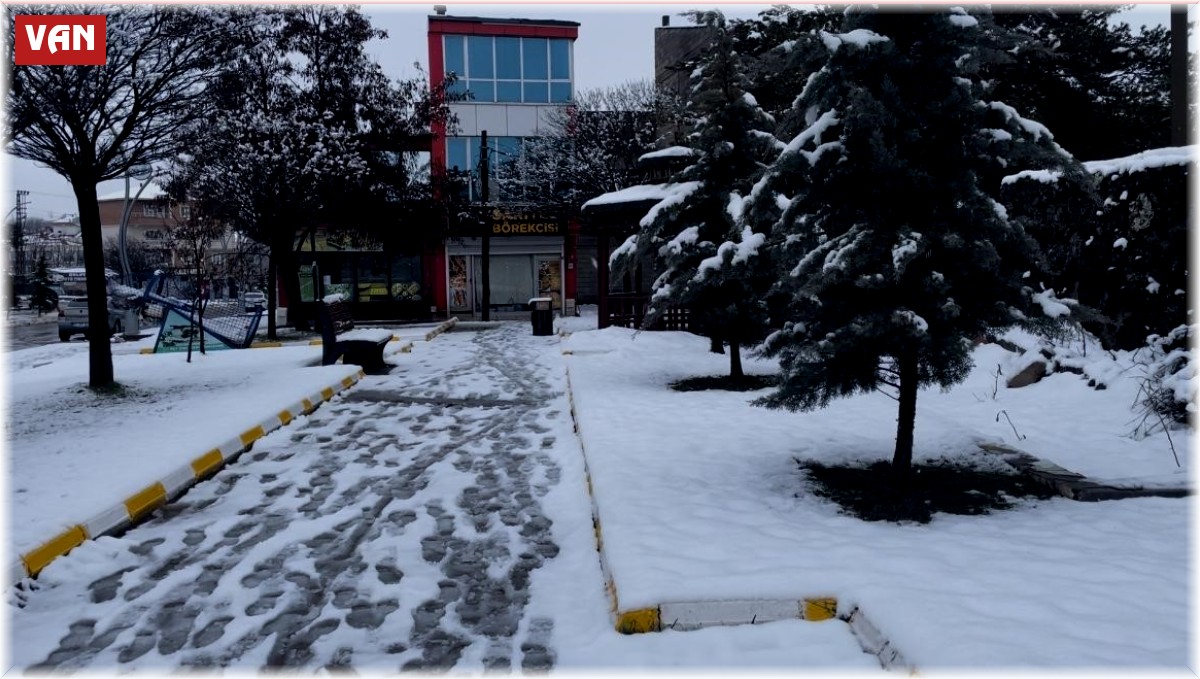 Muradiye'de kar yağışı