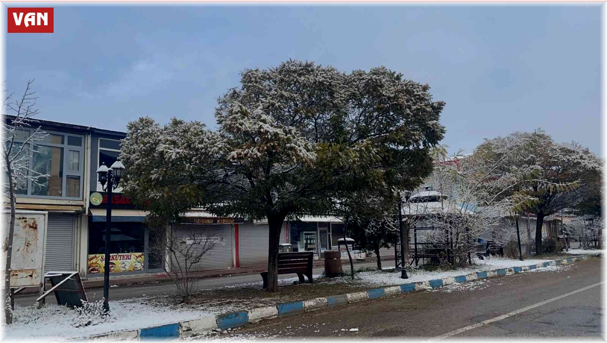 Muradiye'de kar yağışı