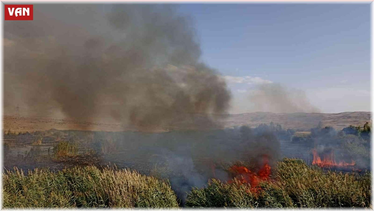 Muradiye'de sazlık yangını