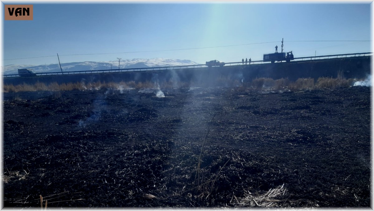 Muradiye'de sazlık yangını