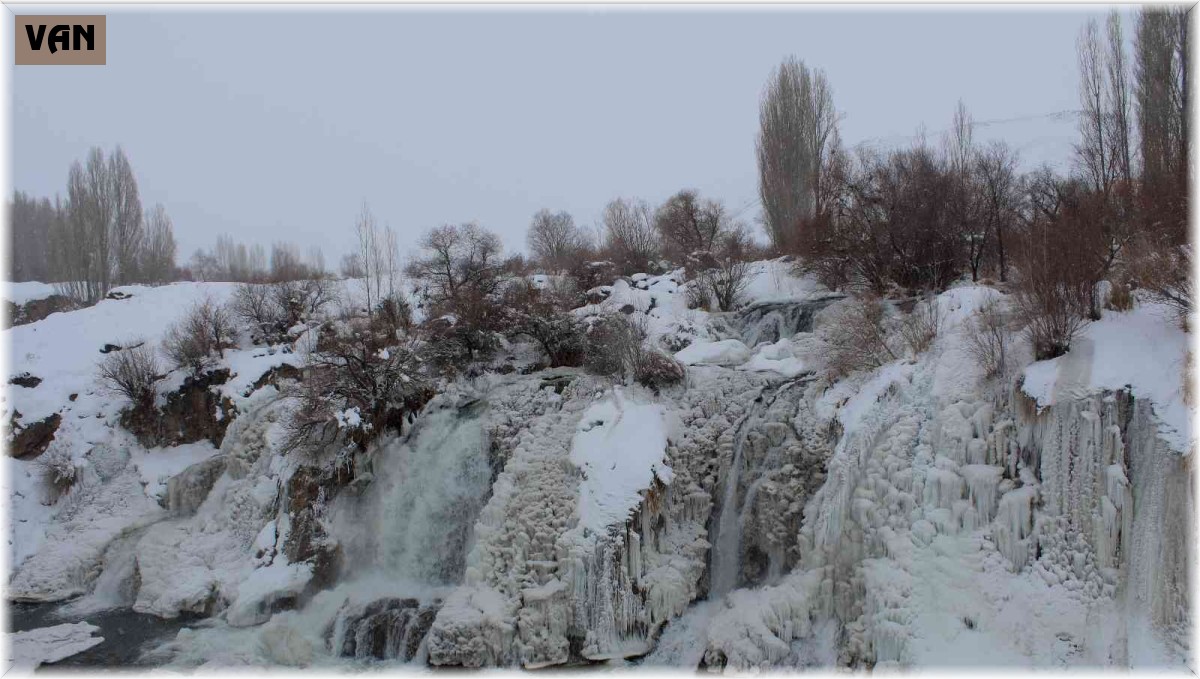 Muradiye Şelalesi dondu