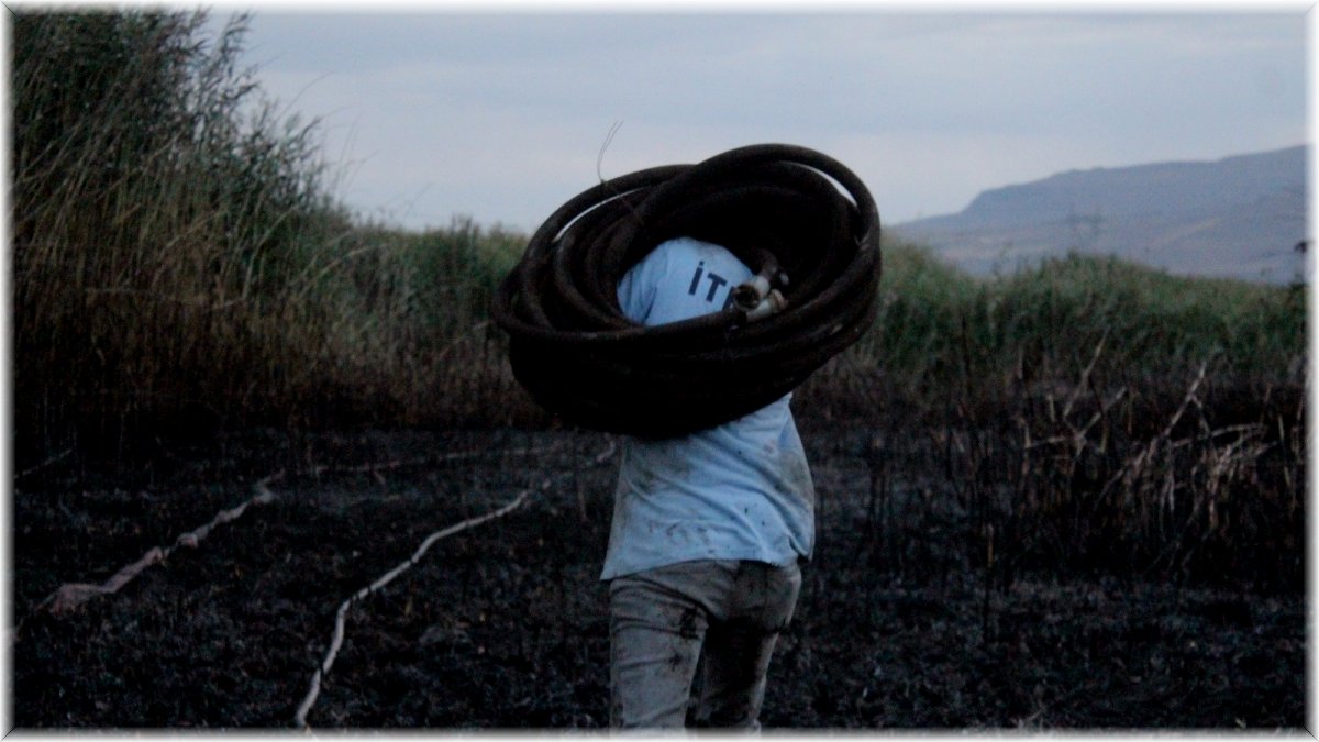 Muradiye’de sazlık alanda yangın