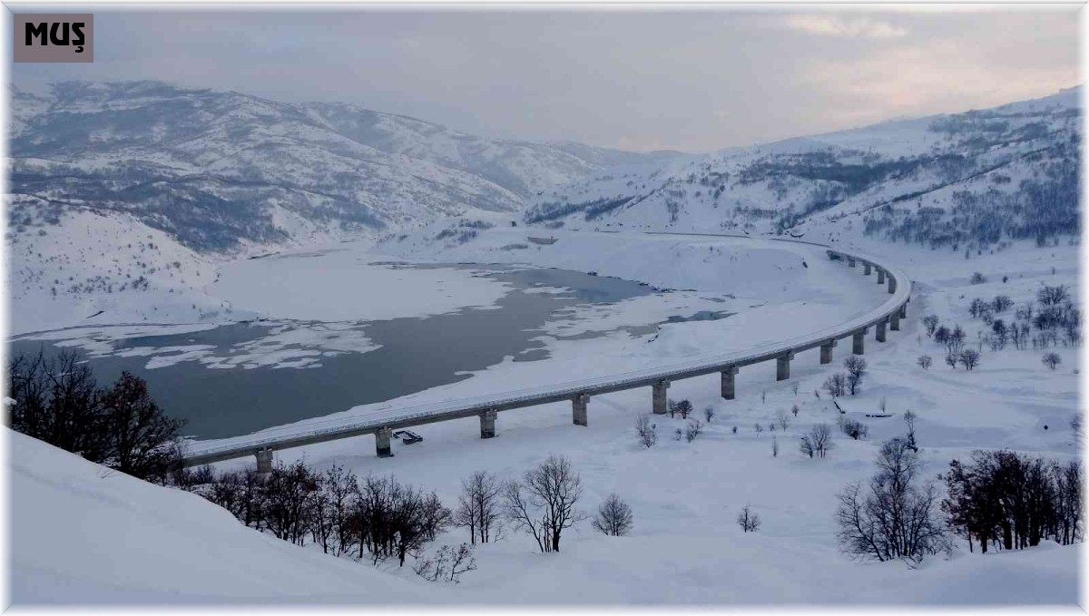 Murat Nehri kısmen buz tuttu