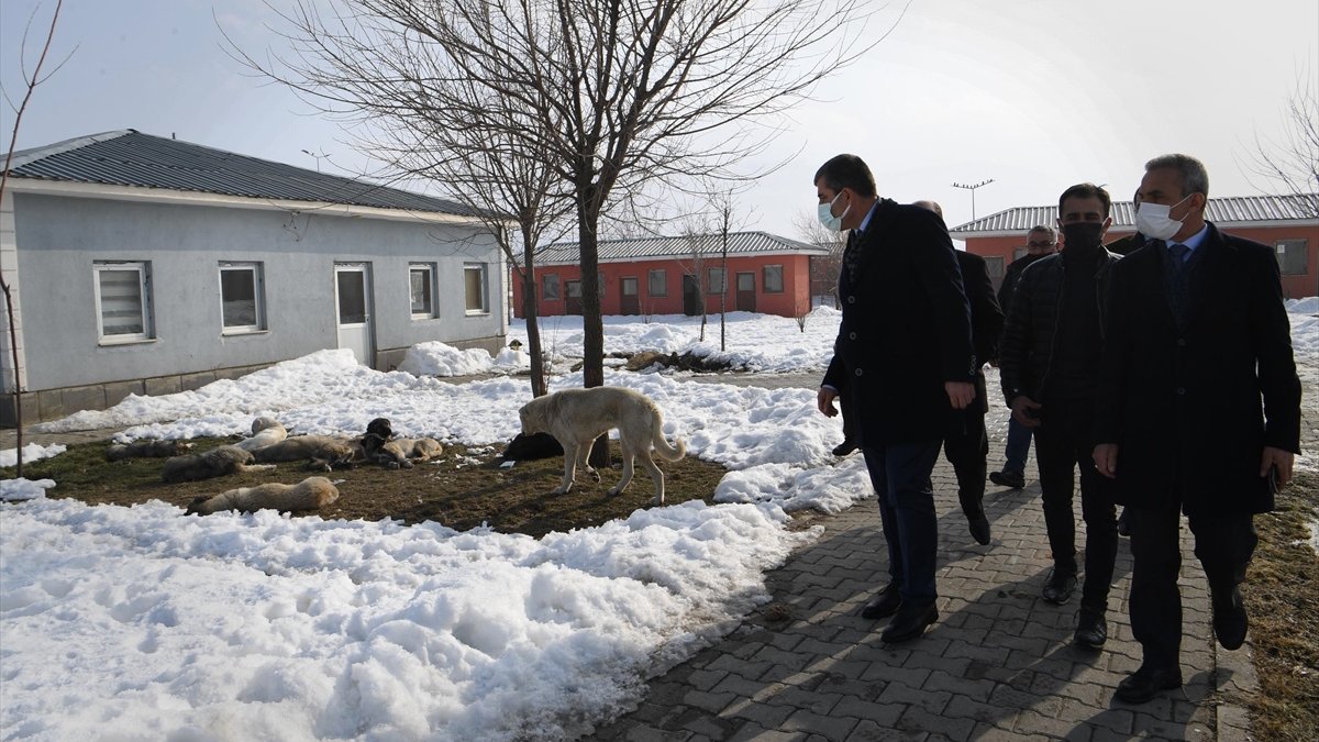 Muş Belediye Başkanı Asya, sokak hayvanları bakım evini inceledi