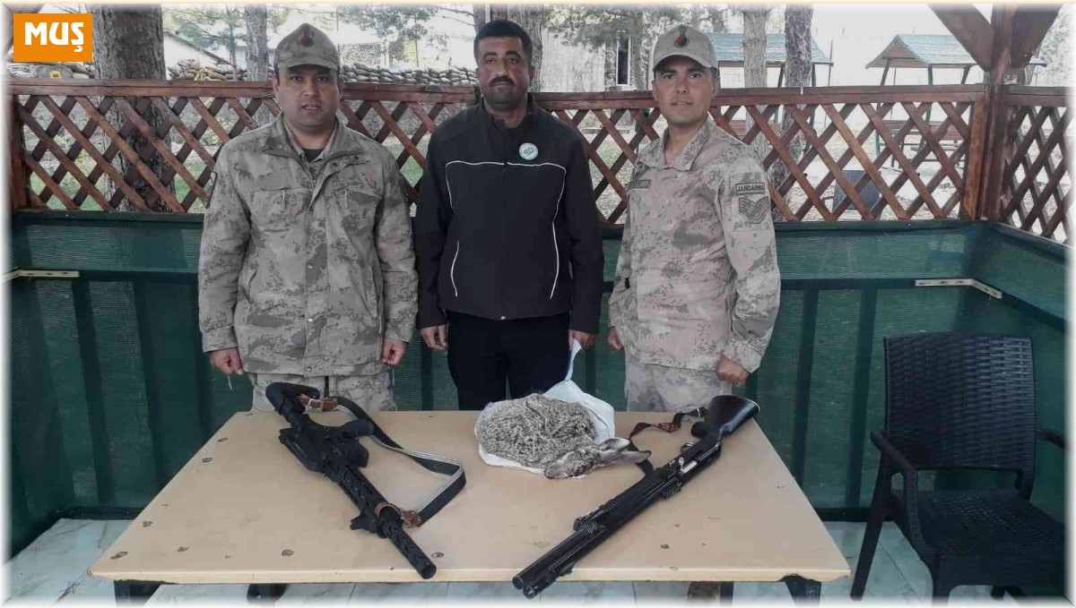 Muş DKMP ve jandarma, kaçak avcılara göz açtırmıyor