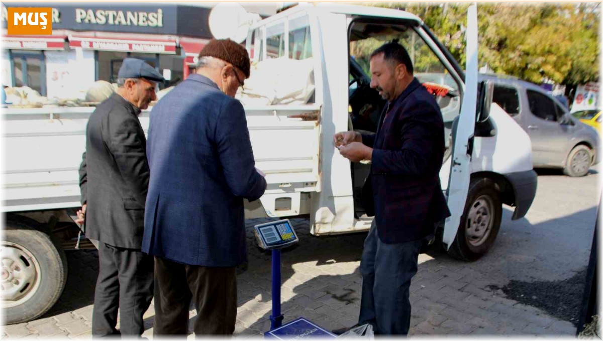 Muş merkezde yetiştirdiği kabakları Varto'da satıyor