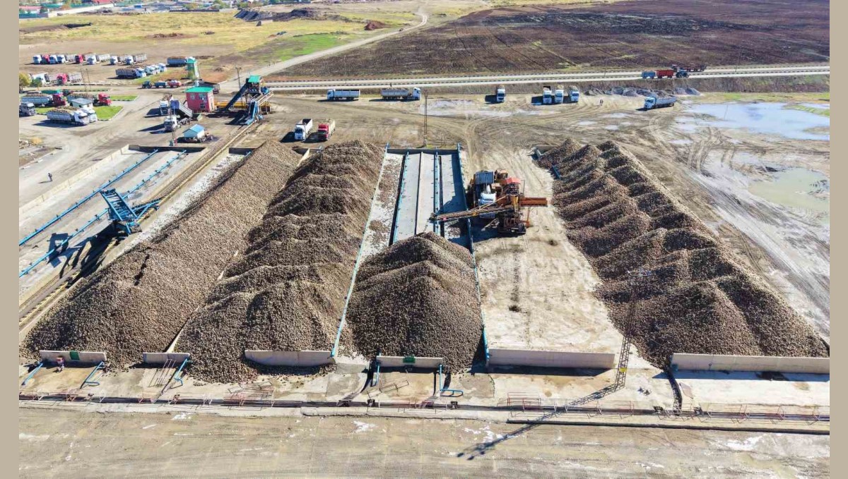 Muş Ovası'nda 1,7 milyar TL'lik tatlı yolculuk