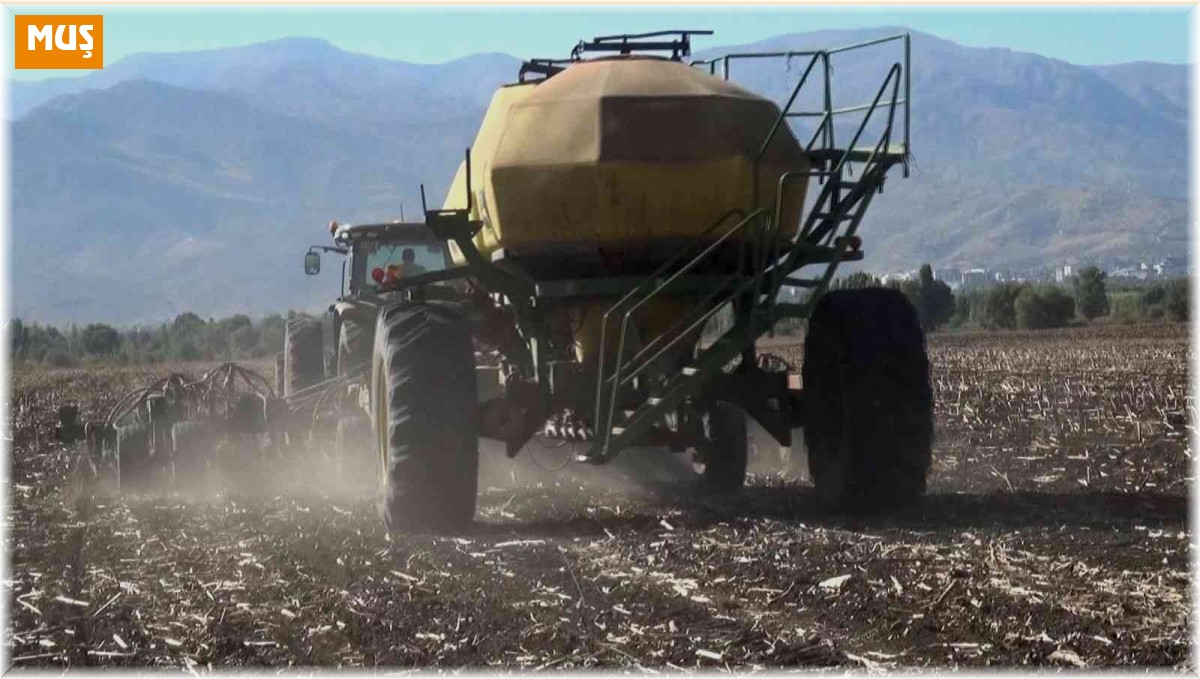 Muş Ovası'nda buğday ekim mesaisi