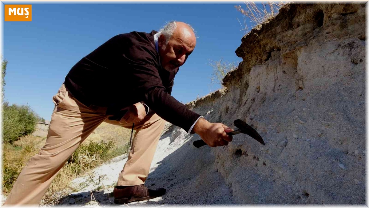 Muş Ovası'nda ilk kez 12 milyon yıllık olduğu düşünülen deniz canlıları fosiline rastlandı