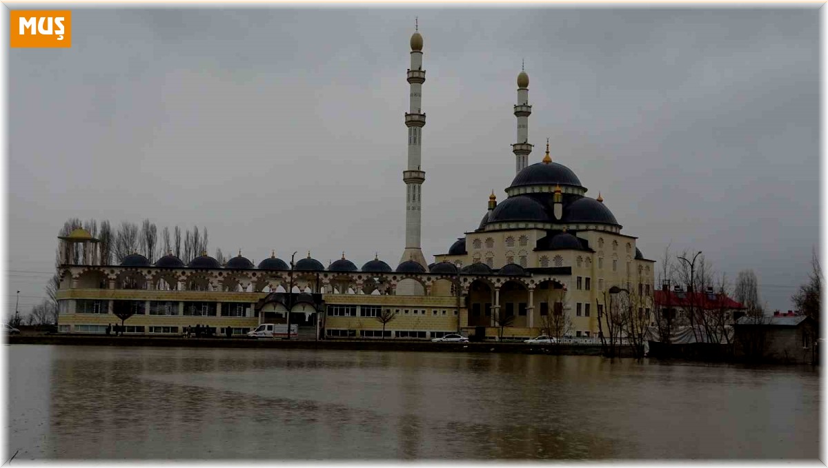 Muş Ovası sular altında kaldı