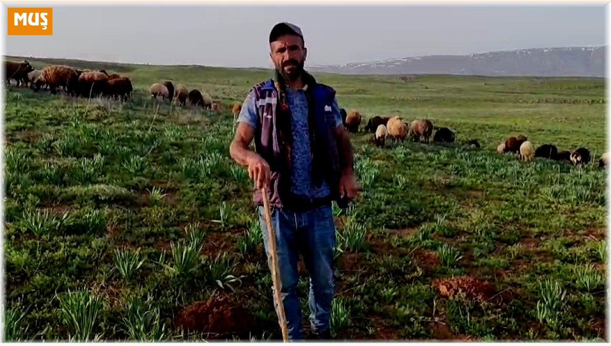 Muş semalarında insanı andıran bir cisim görüntülendi