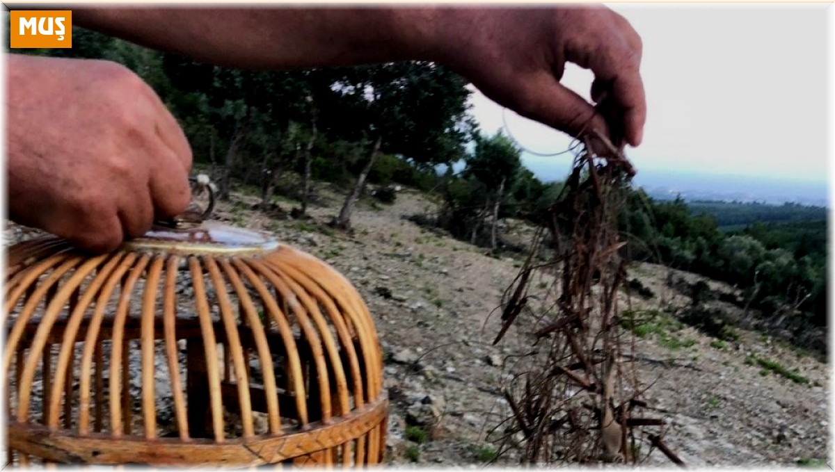 Muş'ta 1 kişiye 16 bin 121 TL para cezası kesildi