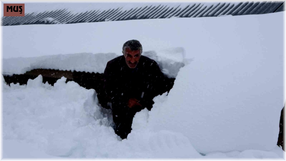 Muş'ta 1600 rakımlı köy kara gömüldü