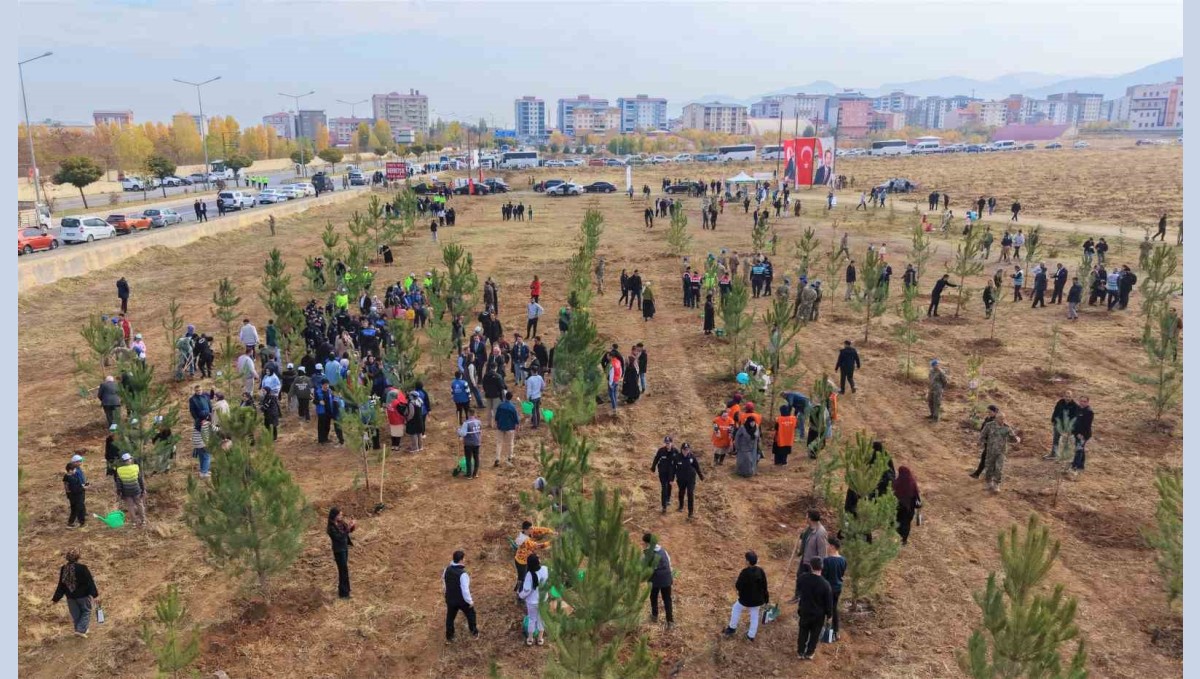 Muş'ta 20 bin fidan toprakla buluşturuldu