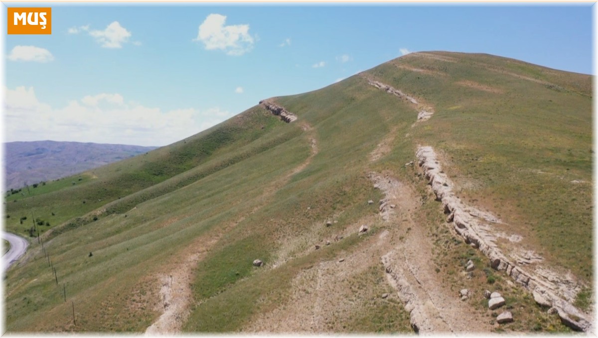 Muş'ta 20 milyon yıllık deniz canlıları fosili bulundu