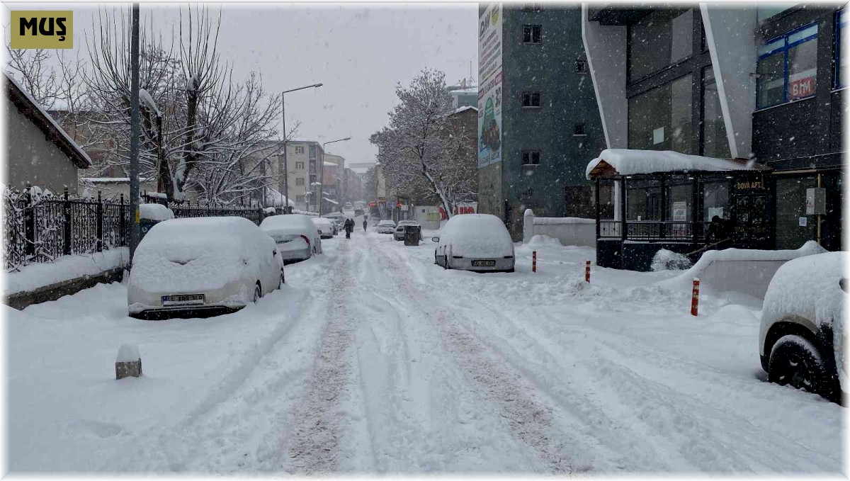 Muş'ta 261 köy yolu ulaşıma kapandı