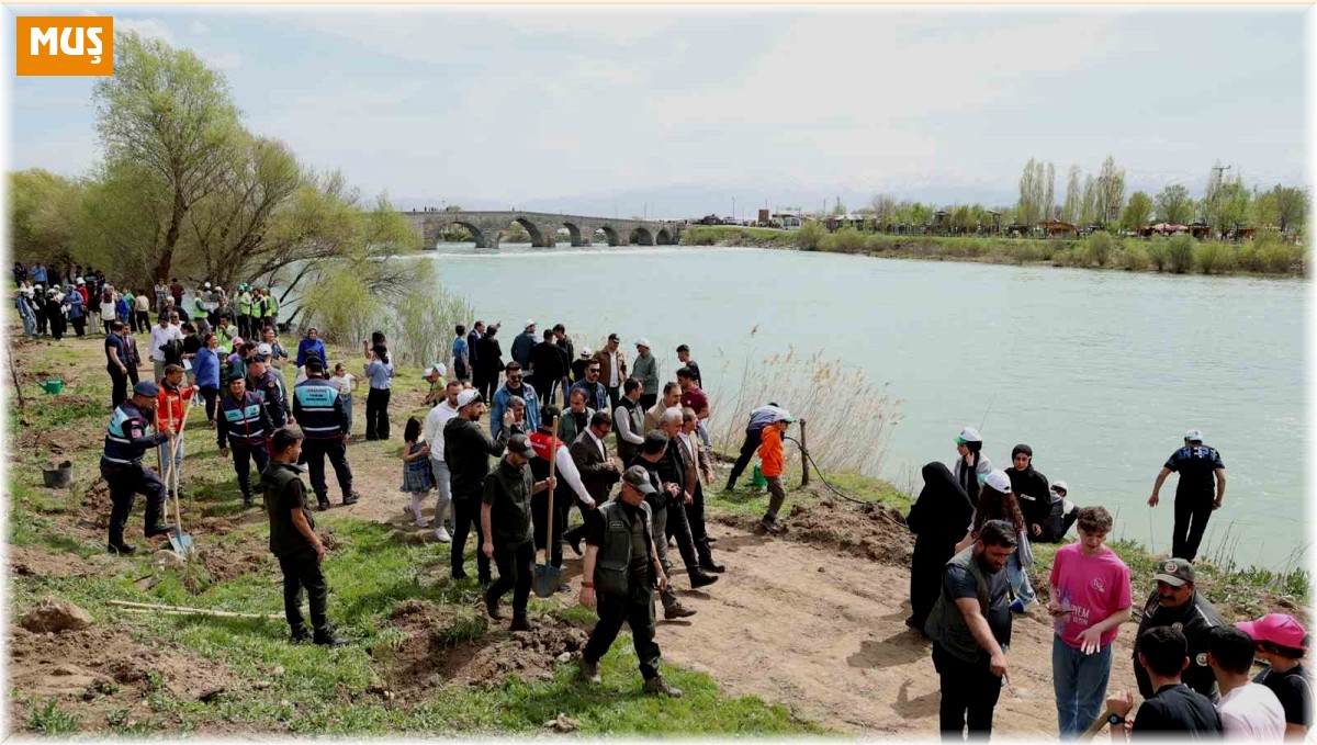 Muş'ta 270 çam ağacı toprakla buluşturuldu