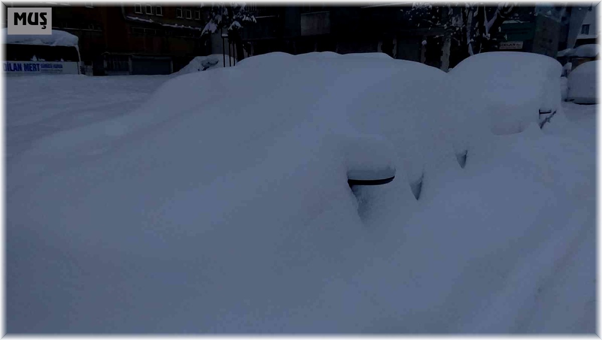 Muş'ta 352 köy yolu ulaşıma kapandı