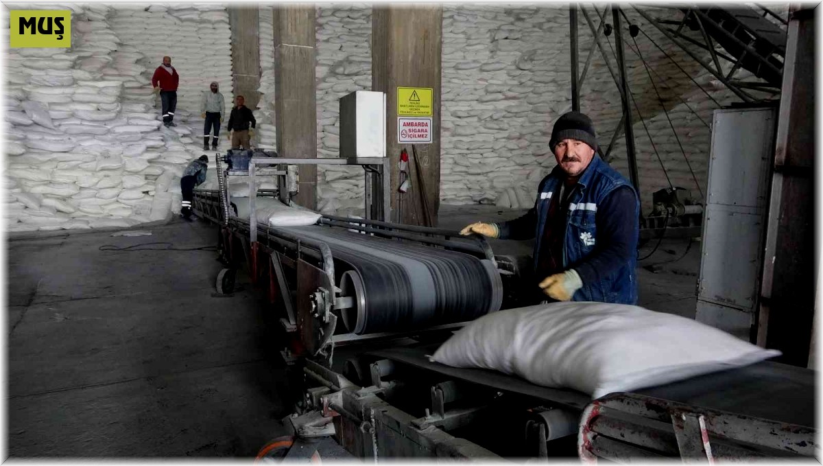 Muş'ta 38 bin 290 ton şeker üretimi yapıldı