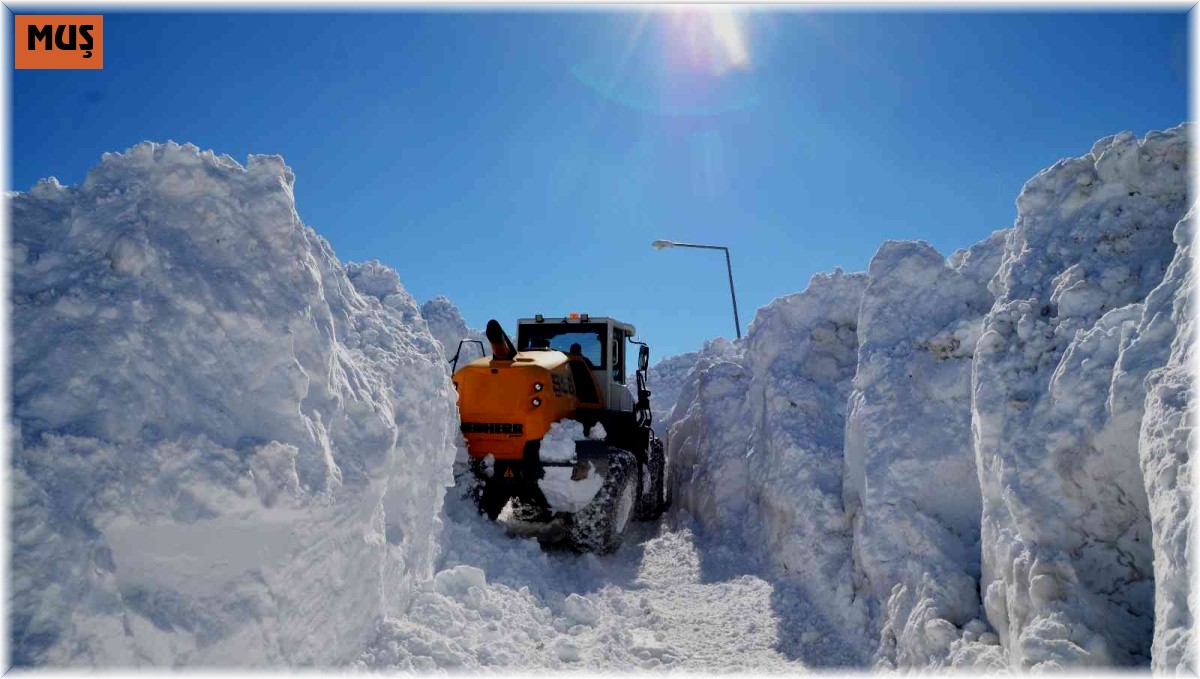 Muş'ta 5 metrelik karda yol açma çalışması