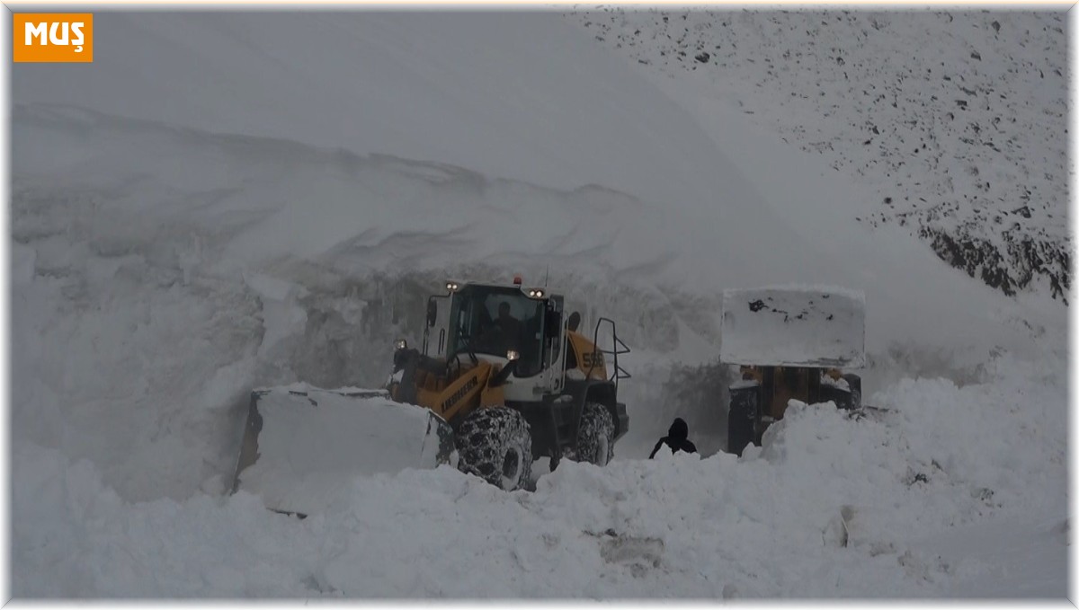 Muş'ta 6 metre karda zorlu yol açma çalışması