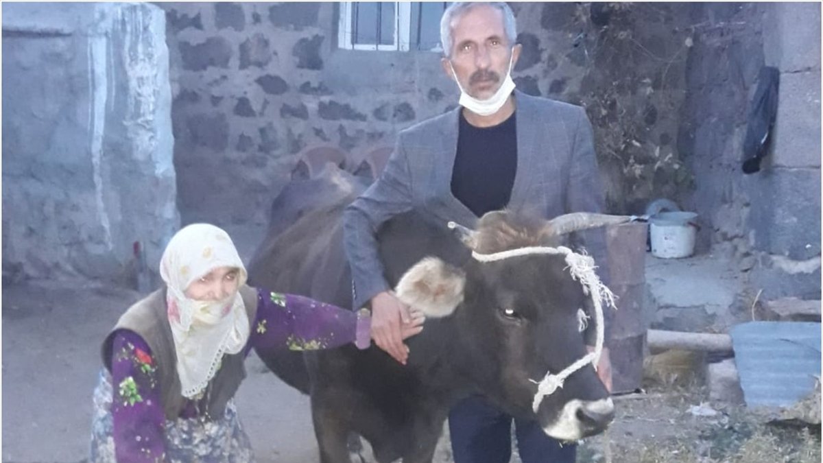 Muş'ta 80 yaşındaki hayırsever, ineğini cami için bağışladı