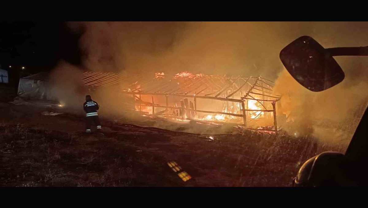 Muş'ta ahır yangını: Hayvanlar son anda kurtarıldı