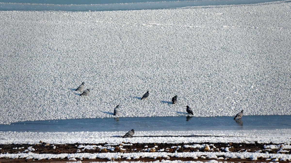 Muş'ta Alparslan-1 Barajı'nın yüzeyi kısmen dondu