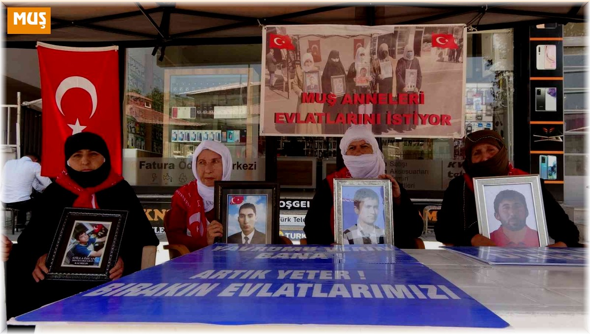 Muş'ta annelerin evlat nöbeti 71. haftaya girdi