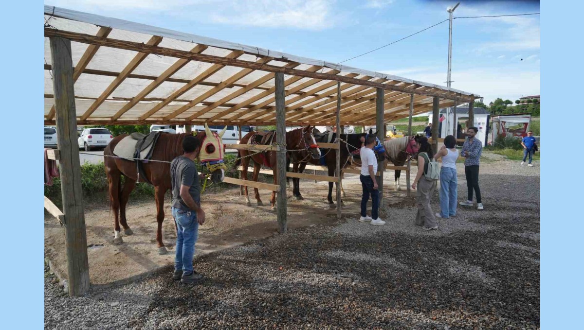 Muş'ta atlı binicilik kulübü, ata sporunu gelecek nesillere aktarıyor