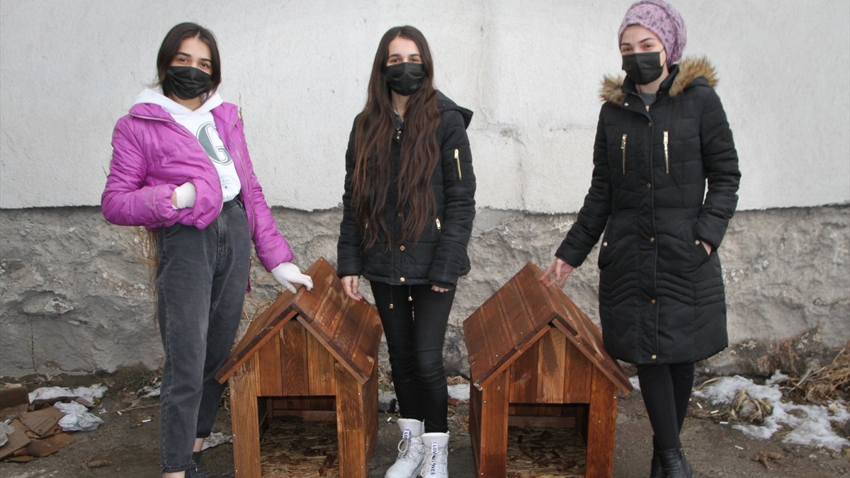 Muş'ta baba ve 3 kızı sokak hayvanlarının "can dostu" oldu