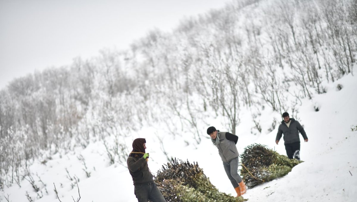 Muş'ta besicilerin kızaklı zorlu kış mesaisi
