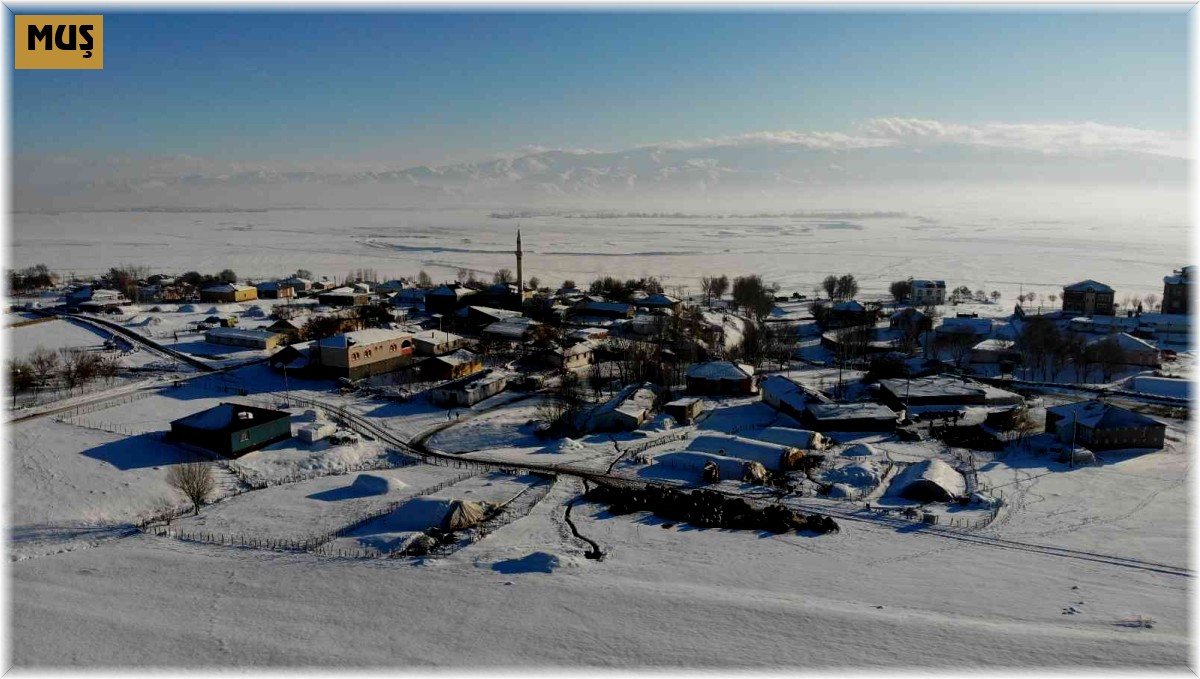 Muş'ta bin 600 rakımlı dağ köyleri kara gömüldü