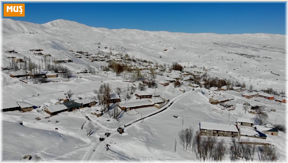 Muş'ta bir köy kara gömüldü