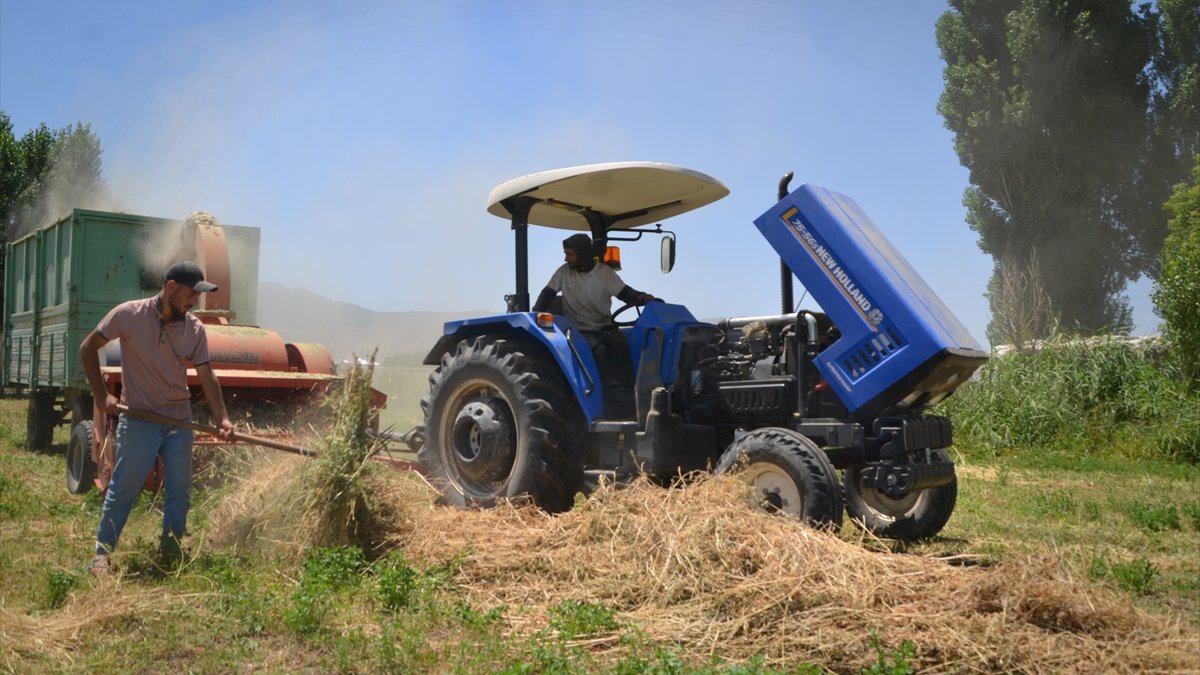 Muş'ta çiftçiler hayvanları için kışlık yem mesaisine başladı