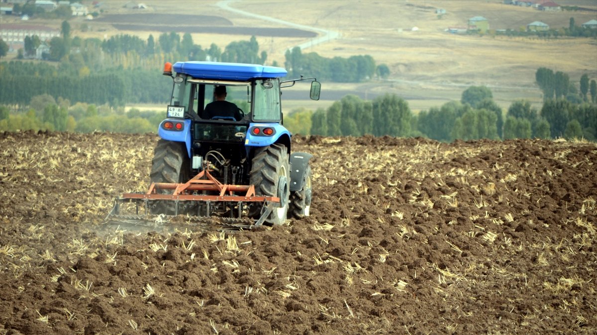 Muş'ta çiftçilere dağıtılan tohumlar toprakla buluşturuluyor