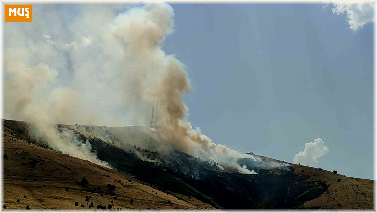 Muş'ta çıkan örtü yangını kontrol altına alındı
