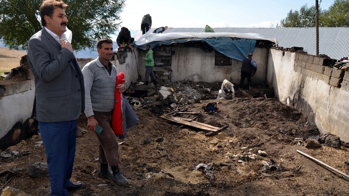 Muş'ta çıkan yangında 80 küçükbaş hayvan telef oldu