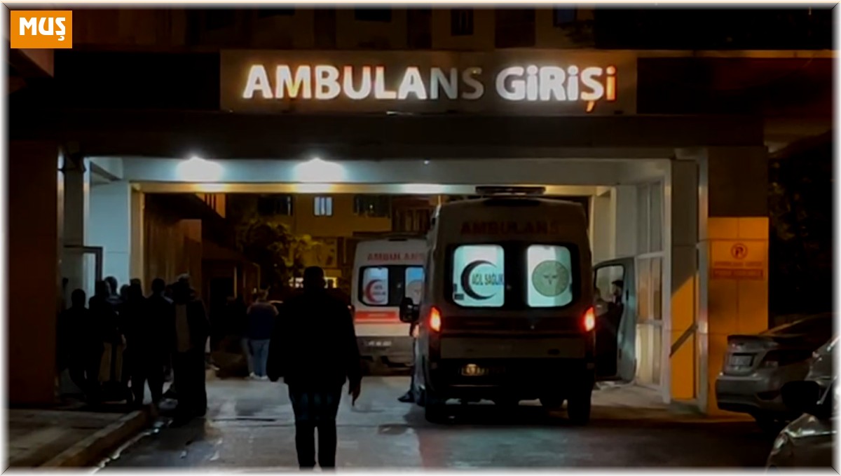 Muş'ta düğünde havaya ateş ederek eğlenen maganda, 2 kişiyi yaraladı