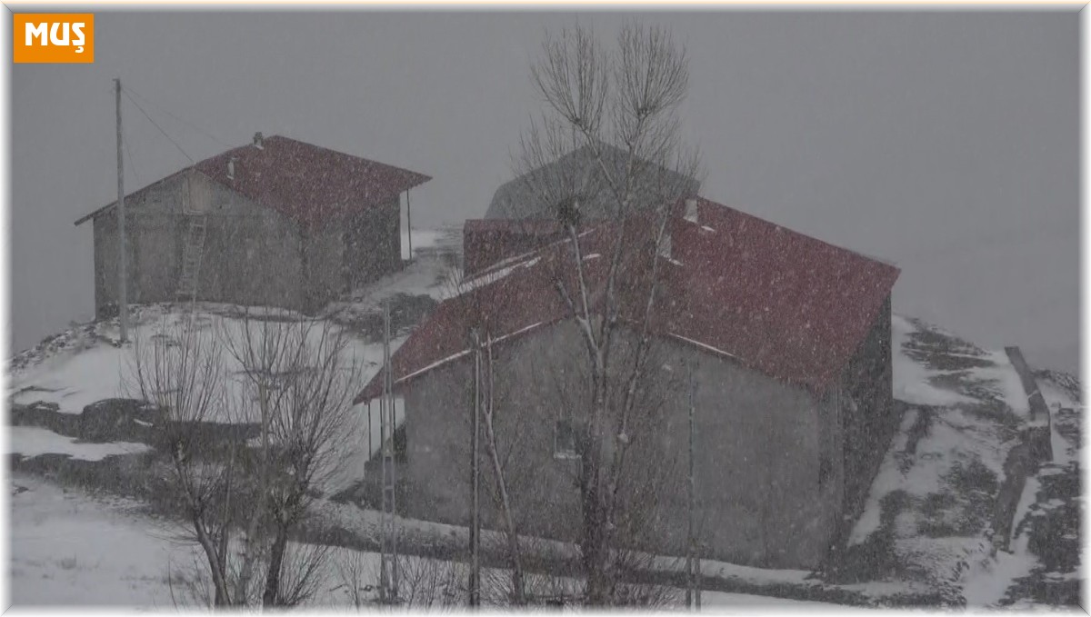 Muş'ta eğitime kar engeli